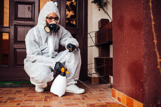 Reliable Bed Bug Control contractor in Los Gatos, CA by Nex Pest Control