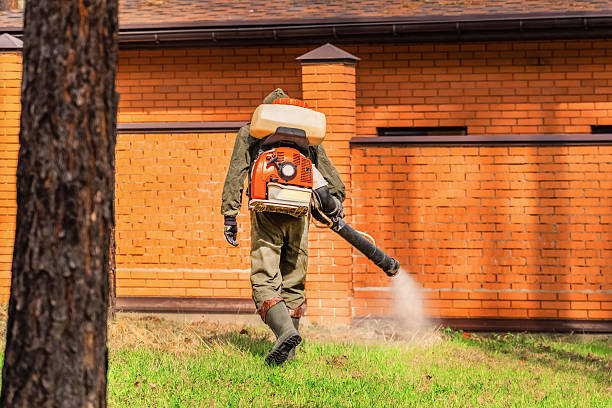 Trusted Emergency Pest Control service in Los Gatos, CA - Nex Pest Control